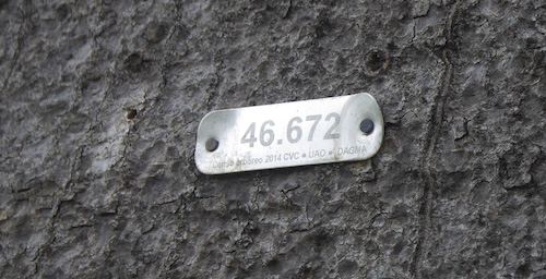 ecogreen-identificación-especies-arboreas-02b