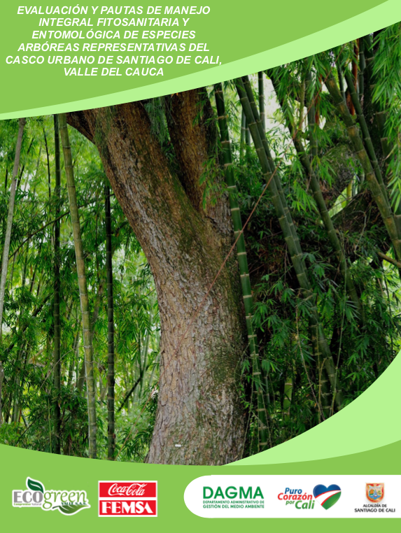 ecogreen-informe-tecnico-01