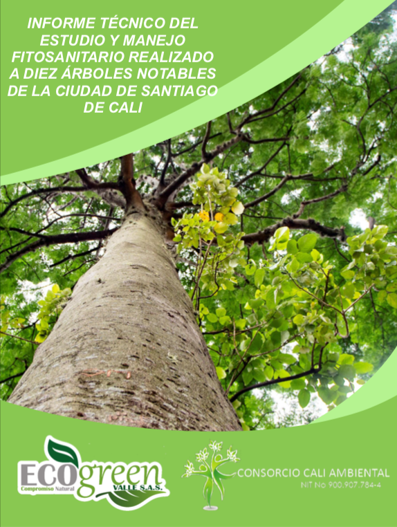 ecogreen-informe-tecnico-02